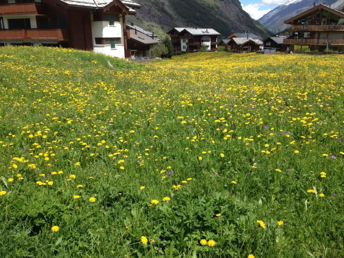 Apartament Haus Marico Zermatt Zewnętrze zdjęcie